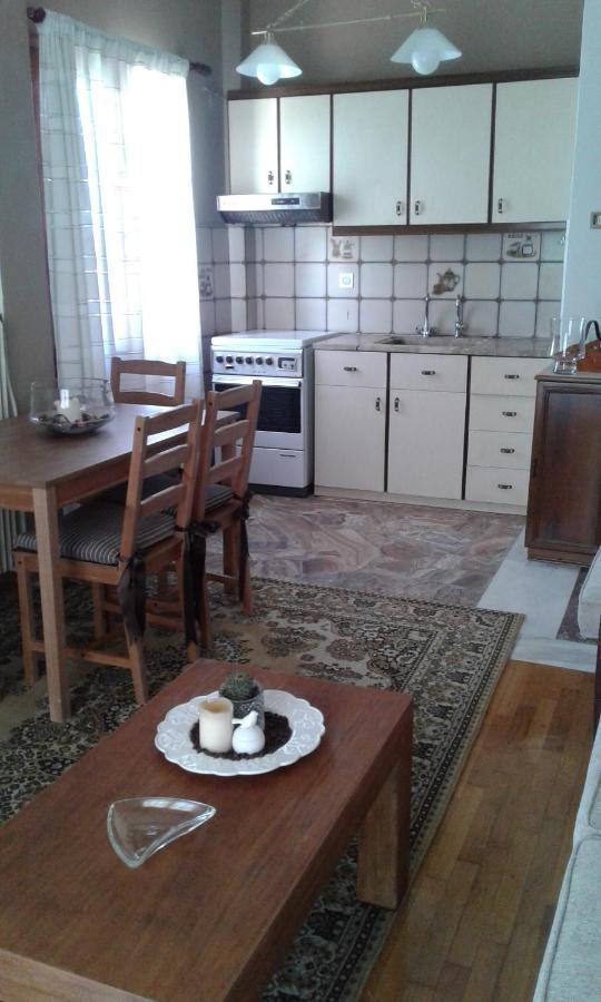Olympus Hill Apartment Litochoro