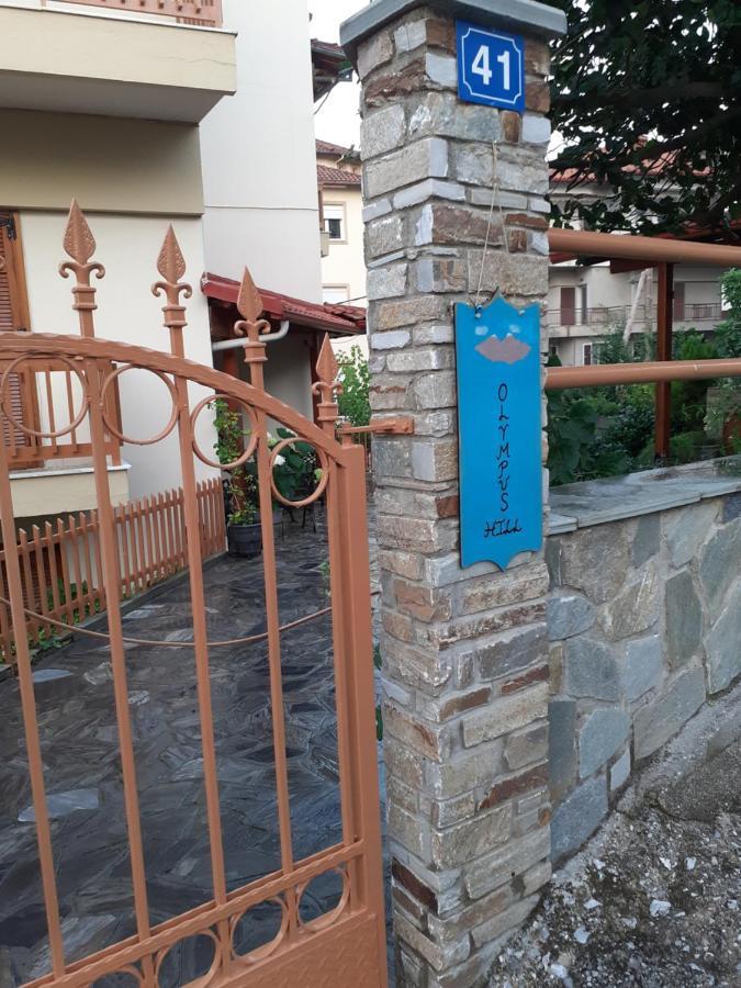 Apartment Olympus Hill Litochoro